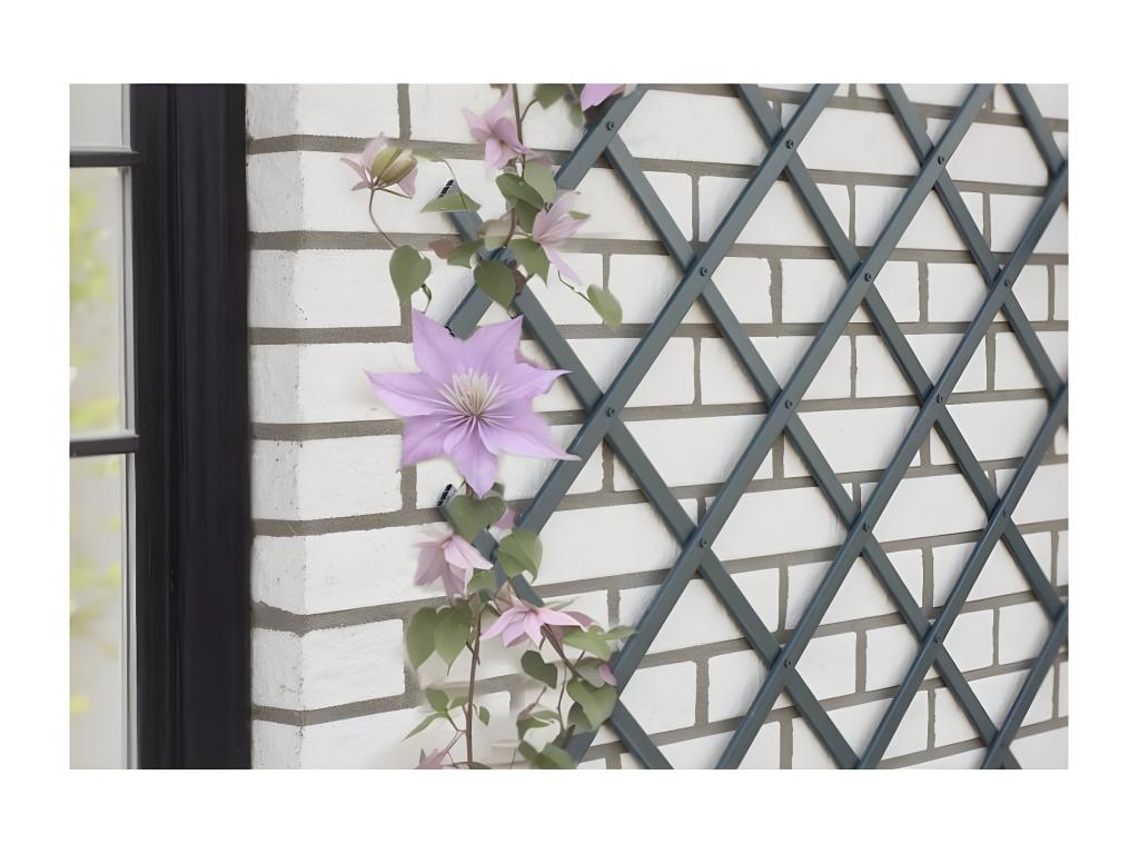 Nature Treillis de jardin 50x150 PVC anthracite EDPH68625