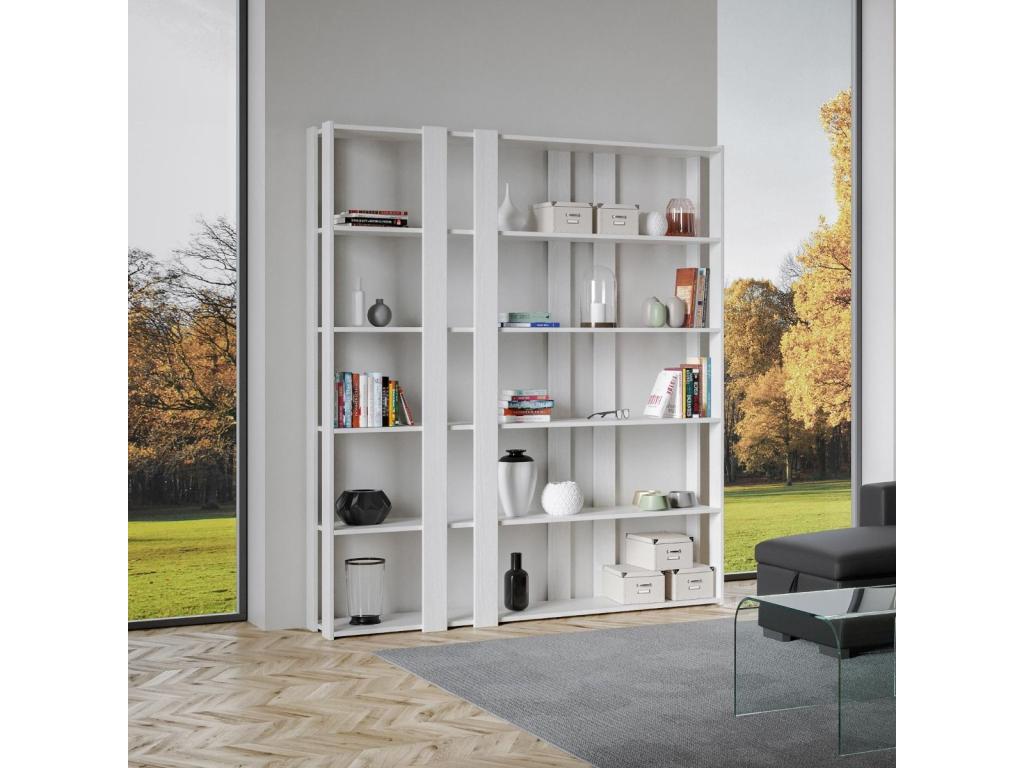 Bibliothèque Cosymeub E frêne blanc ISNO74643