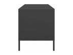 Meuble TV noir 101,5x39x43,5 cm acier laminé à froid JEKI71646