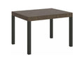 Table à manger extensible Cosymeub-Couleur Marron-Support 4 pieds-Largeur extensible 120 à 204cm PABI66674